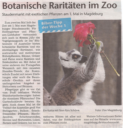 volksstimme_26_4_2012-Staudenmarkt_in_Vogelgesang_vorm_Zoo