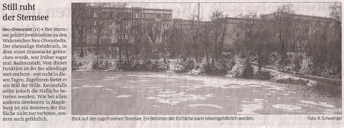 sternsee_15_2_2013_volksstimme_kl