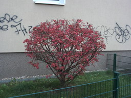 herbst2012