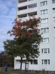 herbst2012