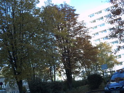 herbst2012