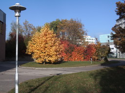 herbst 2012