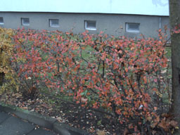 herbst 2012