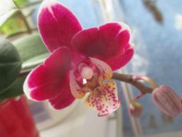 EIMG_7129