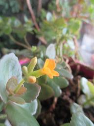 EIMG_7140