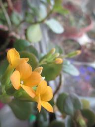 EIMG_7142