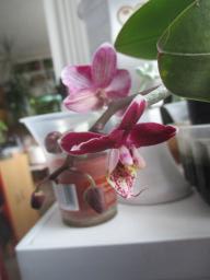 EIMG_7144