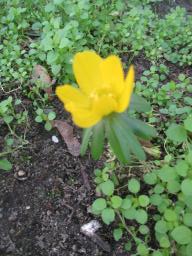 EIMG_7176