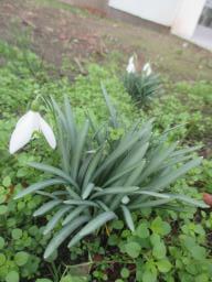 EIMG_7177