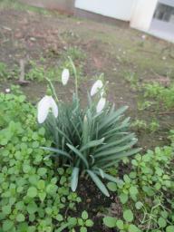 EIMG_7178