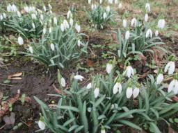EIMG_7183
