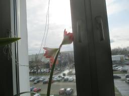EIMG_7190