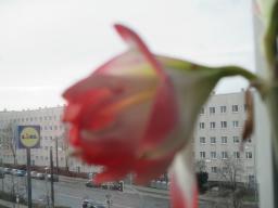 EIMG_7193