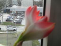 EIMG_7194