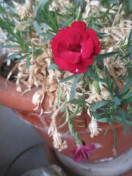 EIMG_7197