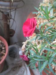 EIMG_7198