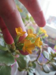 EIMG_7200