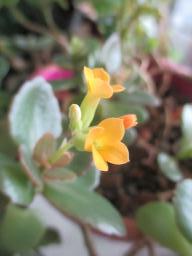 EIMG_7202