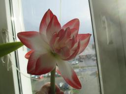 EIMG_7204