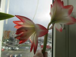 EIMG_7205