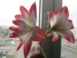 EIMG_7208