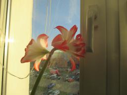 EIMG_7209