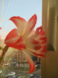 EIMG_7210