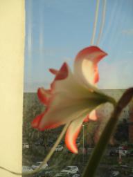 EIMG_7211