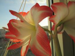 EIMG_7212