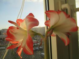 EIMG_7213