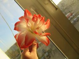 EIMG_7214