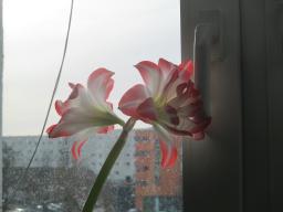EIMG_7221