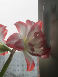 EIMG_7222