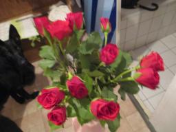 EIMG_7230