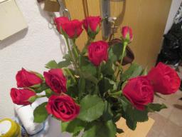 EIMG_7232