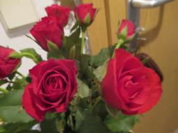EIMG_7233