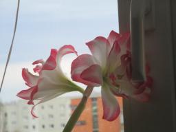 EIMG_7256