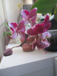 EIMG_7260