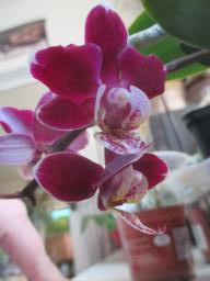 EIMG_7261