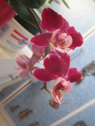 EIMG_7262