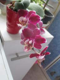 EIMG_7274