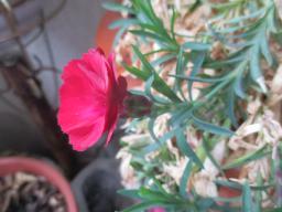 EIMG_7280