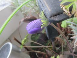 EIMG_7283