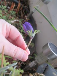 EIMG_7284