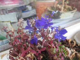 EIMG_7285