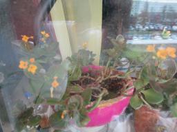 EIMG_7287