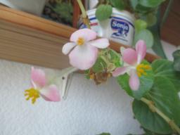 EIMG_7288