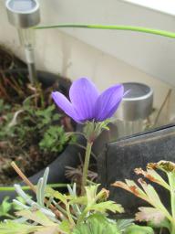EIMG_7289
