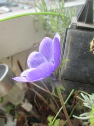 EIMG_7291