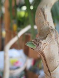 EIMG_7305